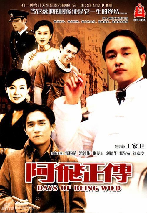 网教本科有学位证书吗